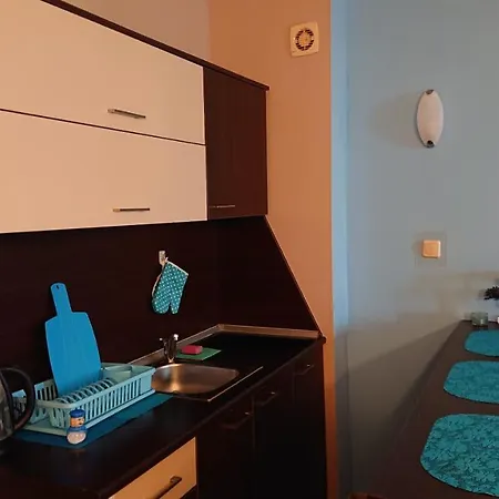 Apartment Private In Carina Beach Sunny Beach